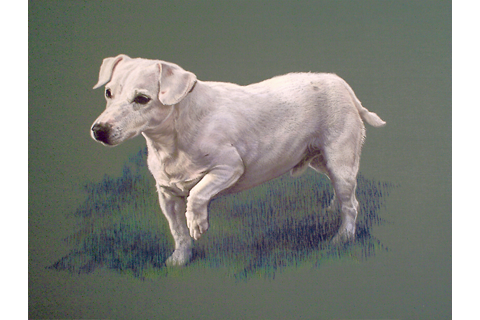 Colored Pencil